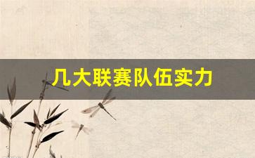 联赛实力排名-几大联赛队伍实力
