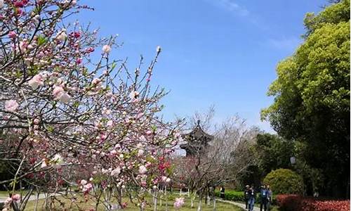 凤 城天气预报_凤城天气预报24小时