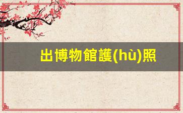 馬來(lái)西亞簽證攻略，博物館護(hù)照持有者如何輕松辦理簽證手續(xù)