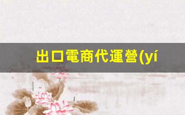出口電商代運營(yíng)怎么做插圖
