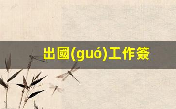 出國(guó)工作簽證需要什么材料和手續(xù)(出國(guó)工作簽證需要什么材料和手續(xù)費(fèi))