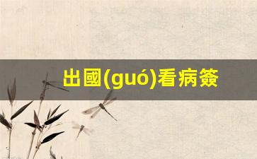 出國(guó)看病簽證怎么簽證(出國(guó)看病)