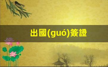 出國(guó)簽證(出國(guó)簽證需要什么條件)