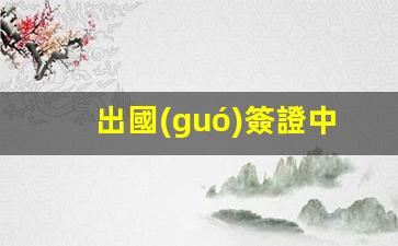 出國(guó)簽證中介(出國(guó)簽證中介機(jī)構(gòu)哪家好)