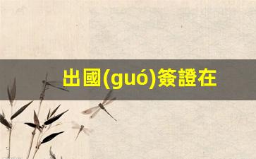 出國(guó)簽證在什么地方辦理(出國(guó)辦理簽證去哪個(gè)部門)