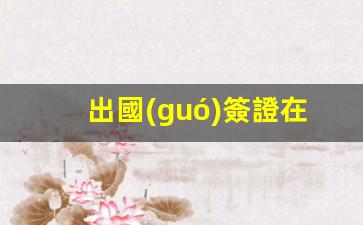 出國(guó)簽證辦理流程及時(shí)間一覽，各國(guó)簽證申請(qǐng)指南與有效期解析