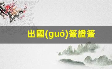 出國(guó)簽證簽證表圖片(出國(guó)簽證真實(shí)圖片)