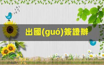 出國(guó)簽證辦理機(jī)構(gòu)有哪些(出國(guó)簽證辦理機(jī)構(gòu)有哪些地方)