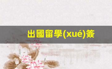 詳解出國留學(xué)簽證辦理流程及注意事項(xiàng)