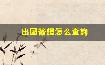 出國簽證怎么查詢(出國簽證怎么查詢辦理進(jìn)度)