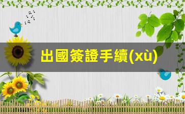 出國簽證手續(xù)(出國簽證手續(xù)流程)