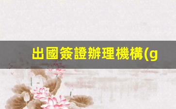 出國簽證辦理機構(gòu)在哪里(出國簽證辦理機構(gòu)在哪里查)