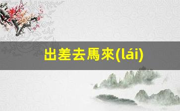 出差去馬來(lái)西亞簽證類型怎么填寫(馬來(lái)西亞旅行簽證)