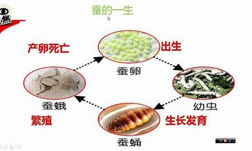 出生地东南方指的是哪-出生南部的动物打一生肖