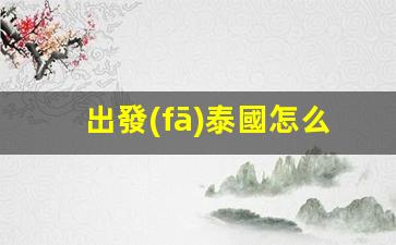出發(fā)泰國怎么用銀行卡(在泰國怎么辦理銀行卡)