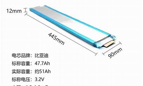 刀片电池_刀片电池什么样子