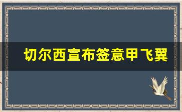 切尔西宣布签意甲飞翼-切尔西吧