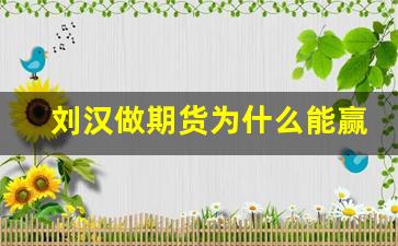 刘汉做期货为什么能赢(刘汉炒期货怎么布局的)_https://www.hangfeite.com_创业板_第1张