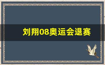 刘翔08奥运会退赛真相-刘翔08奥运会退赛