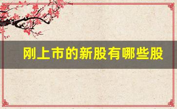 刚上市的新股有哪些股票(刚上市的新股有哪些股票可以买)_https://www.haiwangdasha.com_上交所_第1张