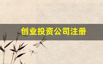 创业投资公司注册(创业投资公司注册资金要求)_https://www.haiwangdasha.com_广期所_第1张
