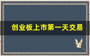 创业板上市第一天交易规则(创业板上市第一天一般可以涨多少)_https://www.eamstsz.com_上交所_第1张