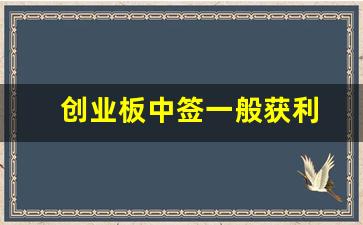 创业板中签一般获利(创业板中签一般获利百分比)_https://www.gfdzclz.com_上交所_第1张