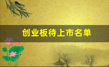 创业板待上市名单(创业板拟上市公司名单)_https://www.shshucaipeisong.com_北交所_第1张