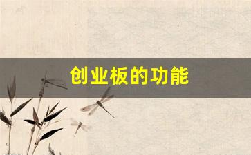 创业板的功能(创业板的功能包括)_https://www.haiwangdasha.com_创业板_第1张