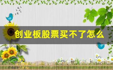 创业板股票买不了怎么办(创业板买不了了)_https://www.gdbxwh.com_开网店_第1张