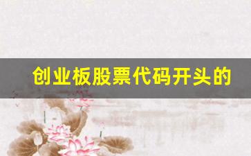 创业板股票代码开头的数字是什么(创业板股票代码几开头)_https://www.haiwangdasha.com_大商所_第1张