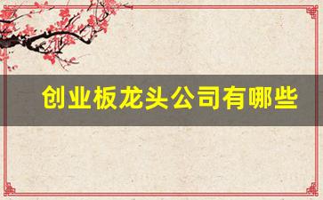 创业板龙头公司有哪些(创业板 龙头)_https://www.gfdzclz.com_上交所_第1张