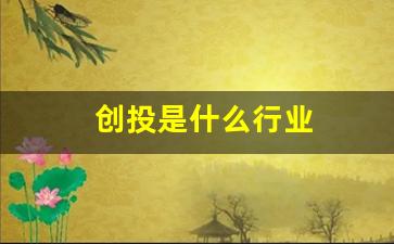 创投是什么行业(创投是做什么的)_https://www.gfdzclz.com_北交所_第1张