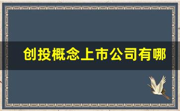 创投概念上市公司有哪些公司(深圳创投上市公司有哪些)_https://www.jumanxin.com_深交所_第1张