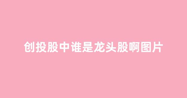 创投股中谁是龙头股啊图片(创投龙头公司)_https://www.dongshengweixin.com_上交所_第1张