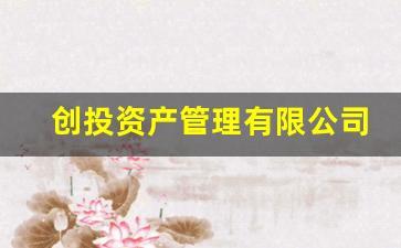 创投资产管理有限公司(中国创投资产管理有限公司)_https://www.erdeww.com_期货_第1张