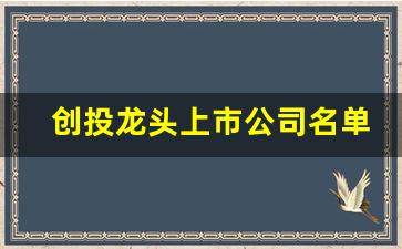 创投龙头上市公司名单(创投龙头上市公司名单查询)_https://www.brunchezvous.com_旅游攻略_第1张