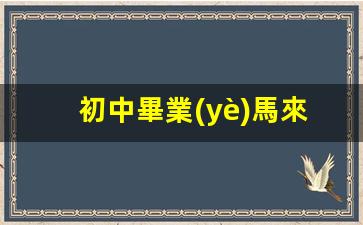 馬來西亞語言學校簽證辦理指南，初中畢業(yè)生必看，學校簽證費用詳解