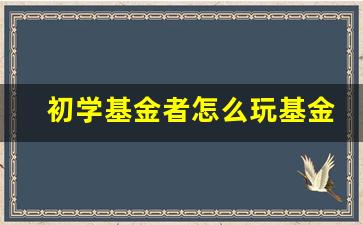 初学基金者怎么玩基金(基金入门基础知识)_https://www.huakunhengjia.com_金融资讯_第1张
