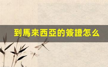 馬來西亞簽證辦理攻略，詳細步驟及簽證辦理時長揭秘