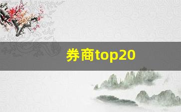 券商top20(券商top10)_https://www.nalian8.com_上交所_第1张