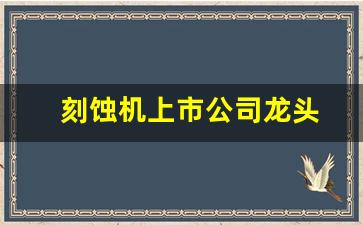 刻蚀机上市公司龙头(国内高端的刻蚀机龙头)_https://www.syklpowerbike.com_深交所_第1张