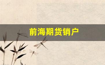 前海期货销户(前海期货有限公司)_https://www.gfdzclz.com_科创板_第1张