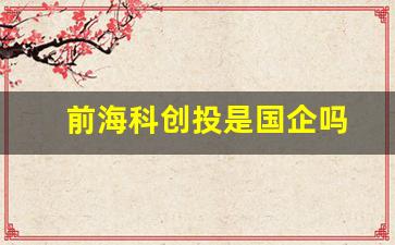 前海科创投是国企吗(前海科创投控股领导班子)_https://www.tuogunzhijia.com_黄金期货_第1张