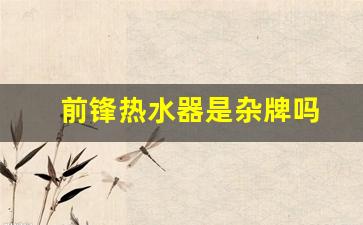 万和和前锋哪个牌子更好-前锋热水器是杂牌吗