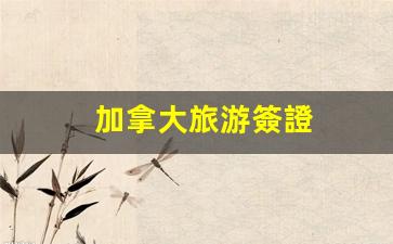 加拿大旅游簽證申請攻略，必備條件詳解與辦理流程解析