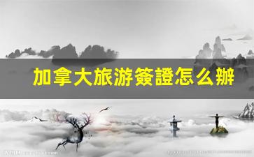 加拿大旅游簽證辦理全攻略，詳解流程及加急申請技巧