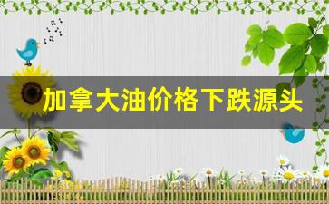 加拿大油价格下跌源头-加拿大油价显示140单位是什么