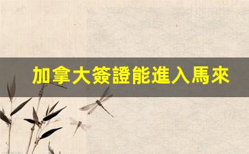 加拿大簽證能進入馬來西亞嗎(加拿大簽證能進入馬來西亞嗎現(xiàn)在)