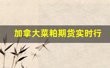 加拿大菜粕期货实时行情走势图片(加拿大菜粕期货实时行情走势图片最新)_https://www.gfdzclz.com_科创板_第1张